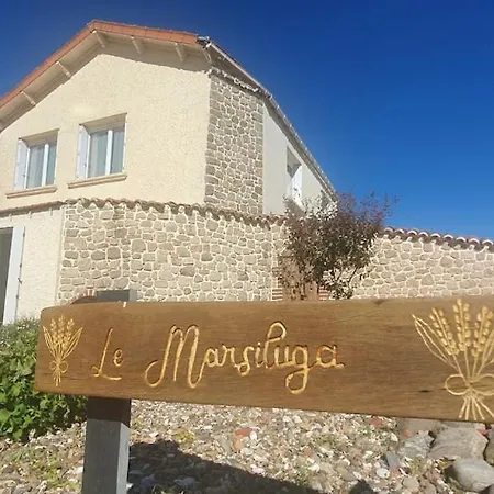 Le Marsiluga Maison 12 Pers A 6 Min Du Puy Du Fou 3*