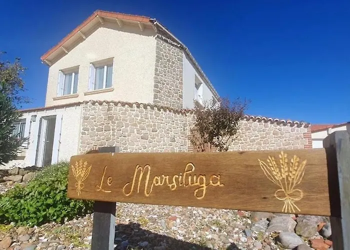 Vendégház Le Marsiluga Maison 12 Pers A 6 Min Du Puy Du Fou 3*